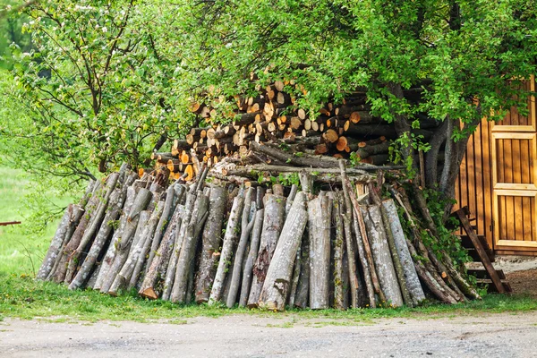 Arriéré avec bois de hêtre pour le chauffage — Photo