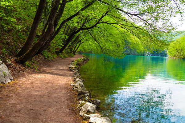 uğrak forest lake yakınlarında