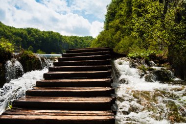 whitewater ve orman ahşap merdivenler ıslak