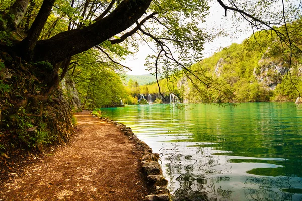 Trilha batida com sol perto de um lago da floresta — Fotografia de Stock