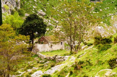 kotor, Karadağ Kalesi'nin arkasında Ortaçağ taş Kilisesi
