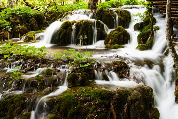 Forest waterfall in Plitvice Lakes National Park, Croatia — Stock Photo, Image