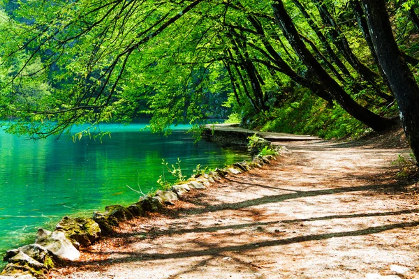 Path near a forest lake in Plitvice Lakes National Park, Croatia — Stock Photo, Image