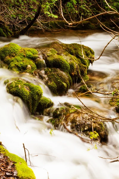 Small forest cascade vertical shot, Krka national park, Croatia — Stock Photo, Image