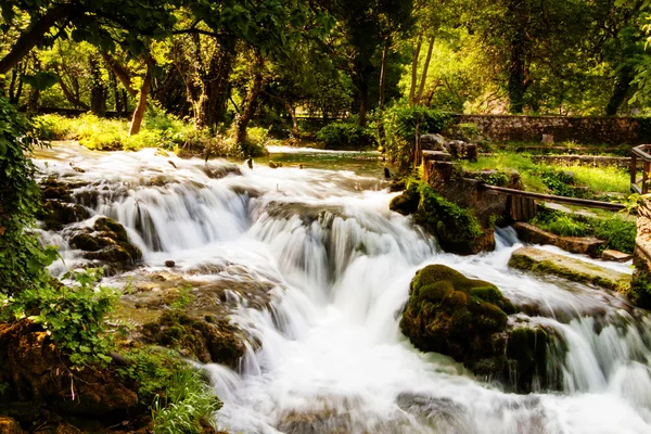 Vodopády v lese, národní park krka, Chorvatsko — Stock fotografie