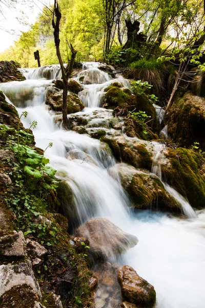 Whitewater running in the forest. Plitvice Lakes National Park, — Stock Photo, Image