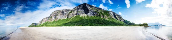 180 度全景镜头的空，非接触式海滩上常青树 — 图库照片