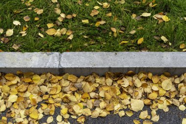 Kaldırım kenarlı, sarı yapraklı ve yeşil çimenli sonbahar kırıntıları.