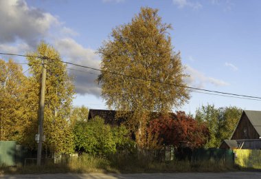 Surgut, Rusya / 09.27.2021: Şehirde ve kırsal kesimde sonbahar renklerinde ağaçlar ve çalılar.
