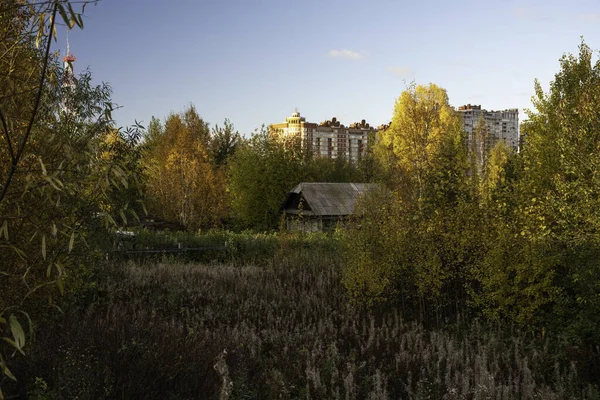 Surgut Rusland 2021 Bomen Struiken Herfstkleuren Stad Het Platteland — Stockfoto