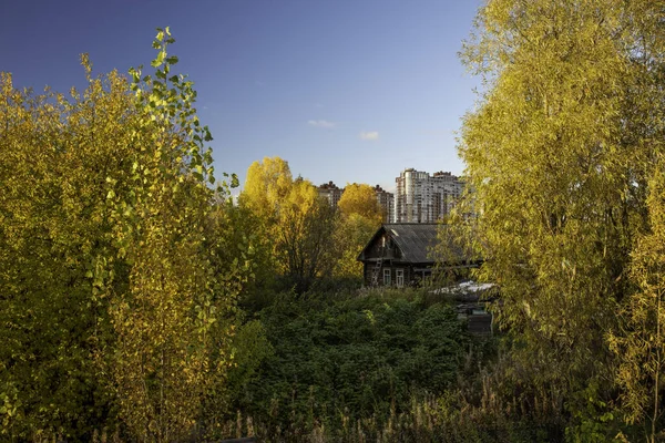 Surgut Rusland 2021 Bomen Struiken Herfstkleuren Stad Het Platteland — Stockfoto