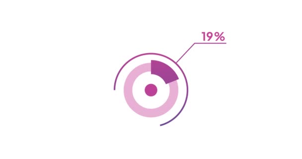 Cirkel Diagram Infographic Animation Design Procentuell Cirkel Diagram — Stockvideo