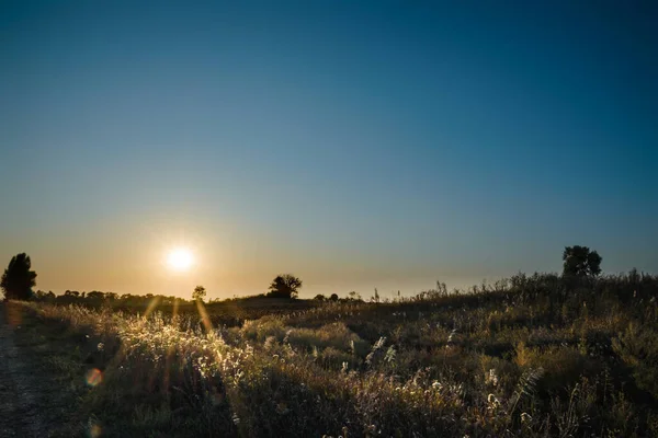 Hermoso Atardecer Campo — Foto de Stock