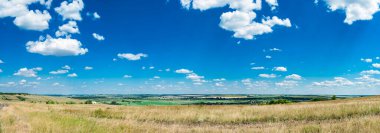 landscape of green grass and field with blue sky. summer time, spring day, nature background