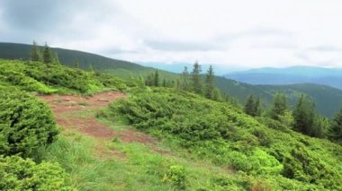 Arkaplan Ormanı Dağları Bulutlu hava bulutları