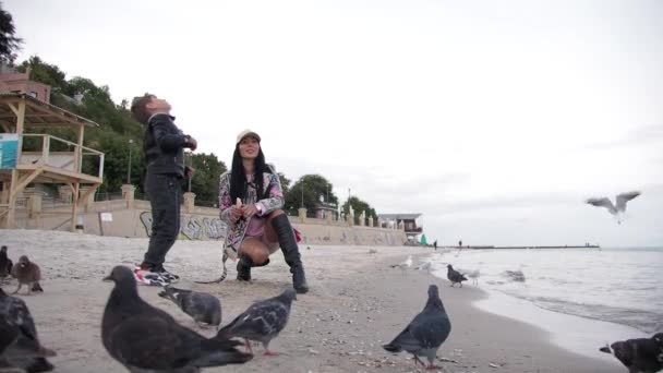 Anya és fia galambokat és sirályokat etetnek a parton Ősz — Stock videók