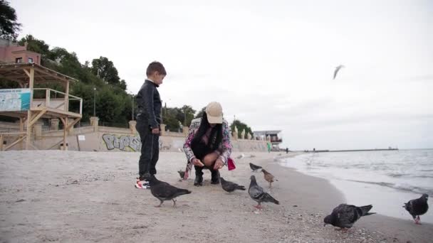 Mãe e filho alimentam pombos e gaivotas na praia Outono — Vídeo de Stock