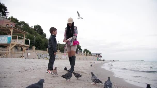 Mamma e figlio nutrono piccioni e gabbiani sulla spiaggia Autunno — Video Stock