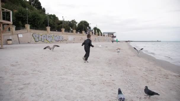 El niño corre detrás de las palomas pájaros gaviotas a lo largo de la playa de otoño — Vídeos de Stock