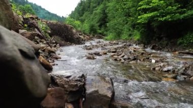 Arka plan Dağ Suyu Ormanda bir nehir