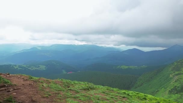 Background Forest mountains cloudy weather clouds — Stock Video