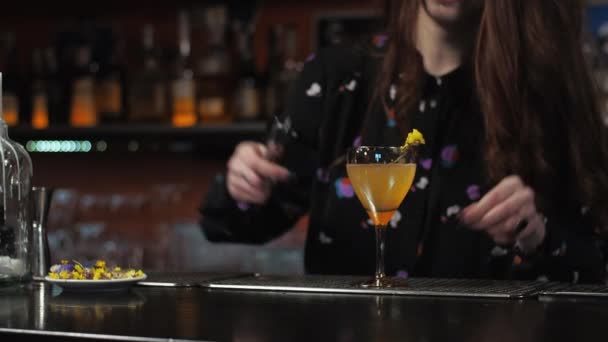 Ruda dziewczyna Młoda dorosła kobieta barman przygotowuje mieszanki papierowy samolot koktajl w barze — Wideo stockowe