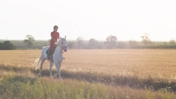 Une Femme Uniforme Rouge Marche Sur Cheval Blanc Dans Champ — Video