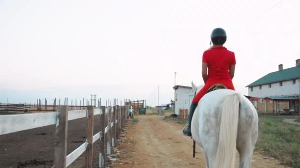 Una Donna Uniforme Rossa Cammina Cavallo Bianco Campo Fieno Grande — Video Stock