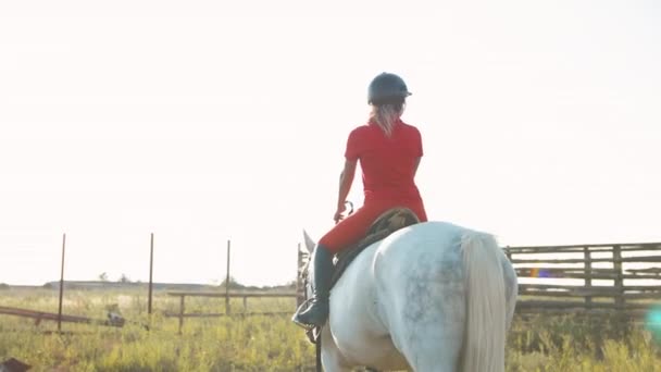 Una Mujer Con Uniforme Rojo Camina Sobre Caballo Blanco Campo — Vídeo de stock