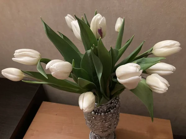 Bouquet Tulipes Blanches Dans Vase — Photo