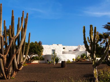 Lanzarote beyaz tipik ev