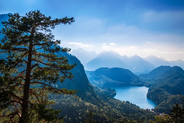 Alpsee valley bayerska Alperna, Füssen, Tyskland — Stockfoto