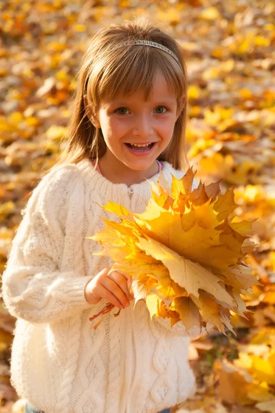 Little girl with autumn leaves — Stock Photo, Image