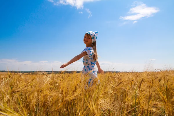 Schönes kleines Mädchen auf einer Wiese — Stockfoto