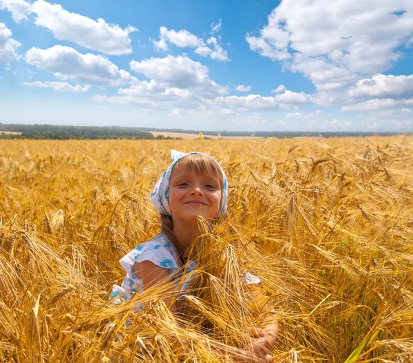 Güzel küçük bir kız bir çayırda — Stok fotoğraf
