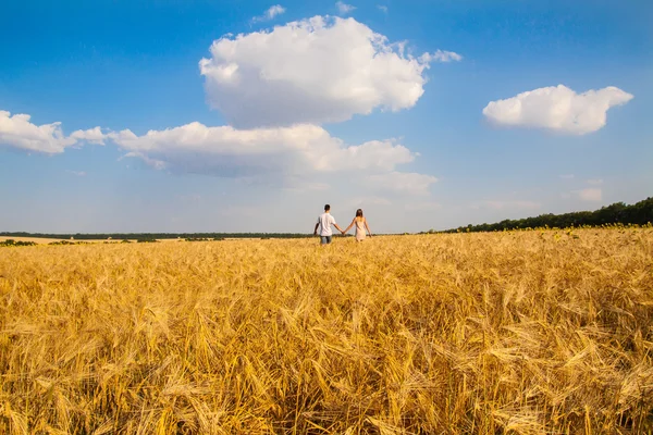 Giovane coppia a piedi attraverso il campo di grano — Foto Stock