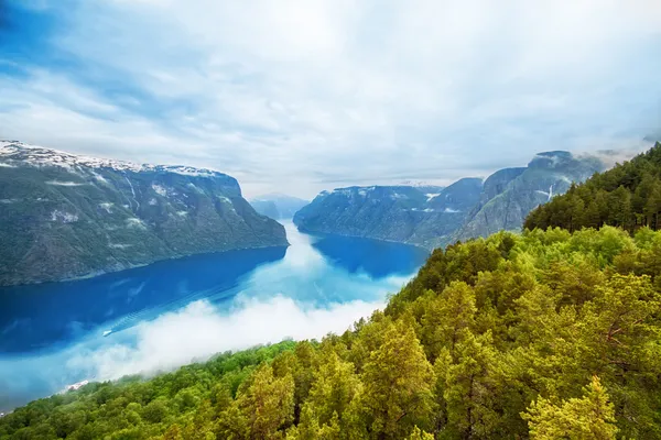 Met het oog op de sognefjord in Noorwegen — Stockfoto