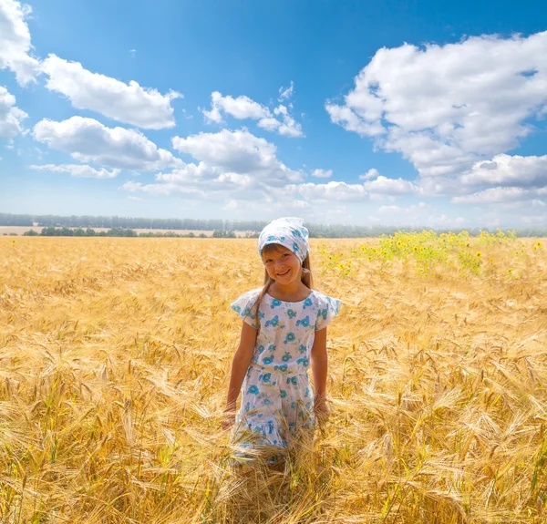 Güzel küçük bir kız bir çayırda — Stok fotoğraf