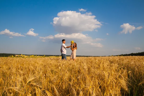 Date in a wheat field — Stock Photo, Image