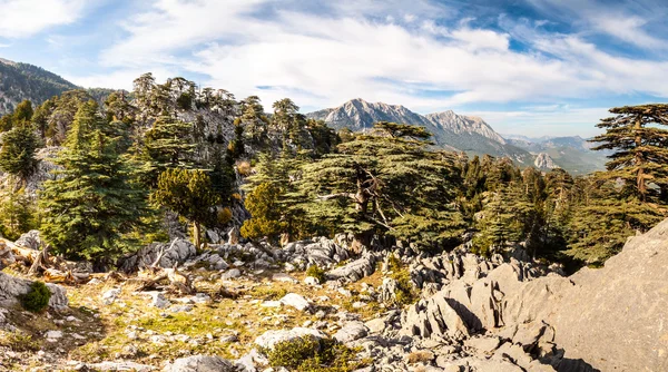 Vallei in de buurt van olympus mount, Turkije — Stockfoto