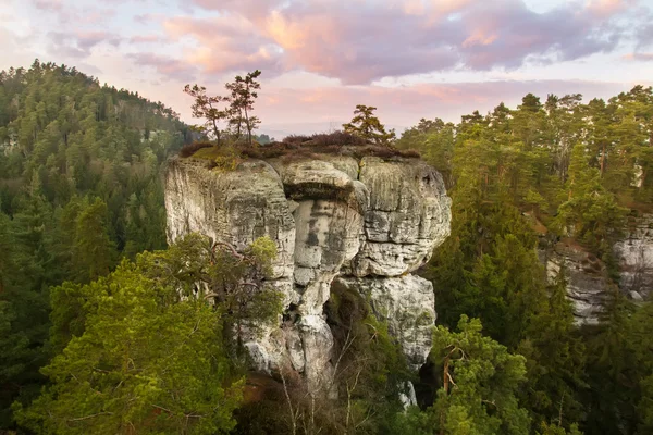 Felsenstadt im böhmischen Paradies, hdr — Stockfoto