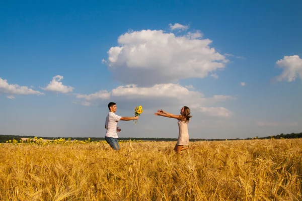 Date in a wheat field — Stock Photo, Image