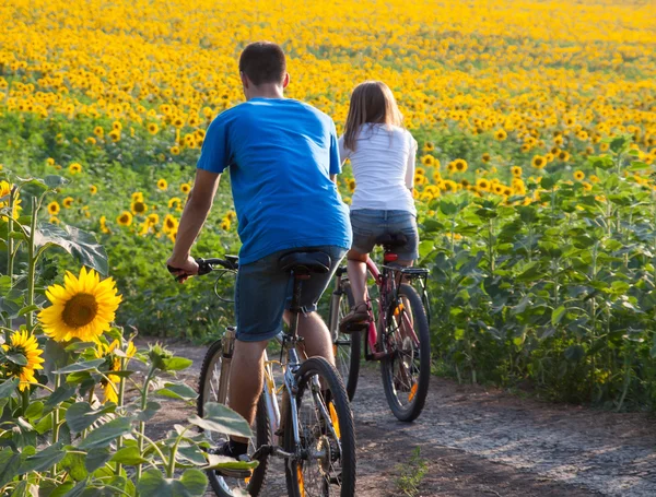 ティーン カップルひまわり畑で自転車に乗る — ストック写真