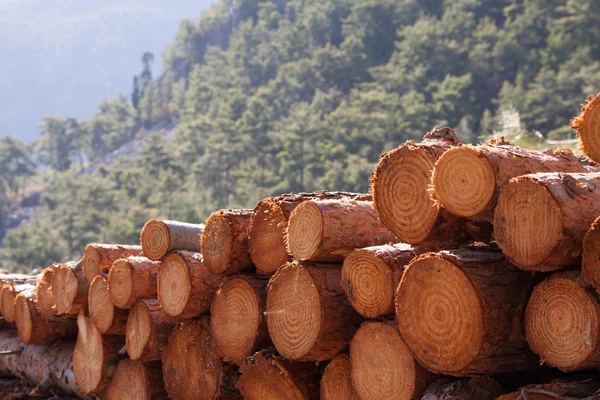 Madera aserrada — Foto de Stock