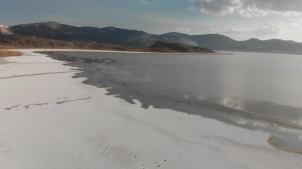 Розовые фламинго в соленом озере, Турция, вид на дрон — стоковое видео