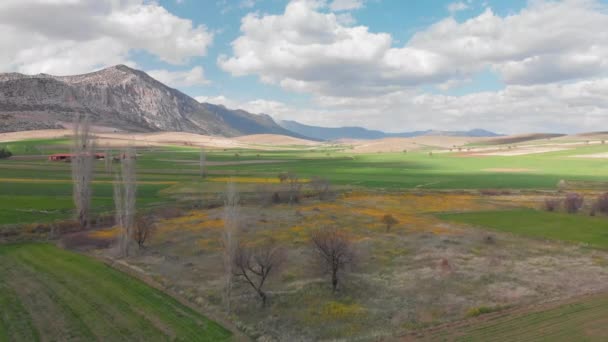 Luchtfoto drone uitzicht op het Turkse platteland in het voorjaar, Denizli — Stockvideo