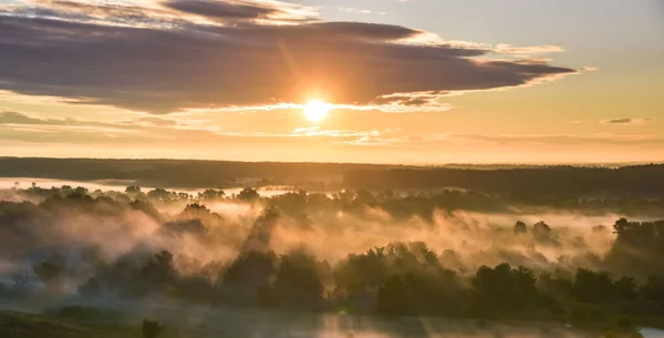 Sonnenaufgang der Wiese mit Wald in Sonnenlicht und Nebel — Stockfoto