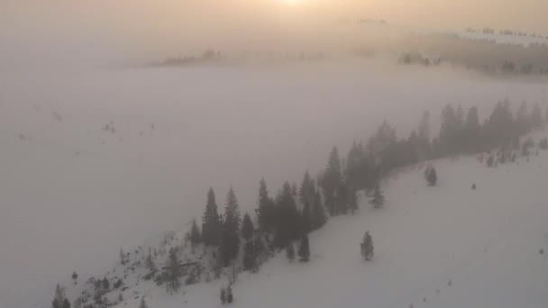 Luchtvlucht boven mist in de Karpaten in de winter — Stockvideo