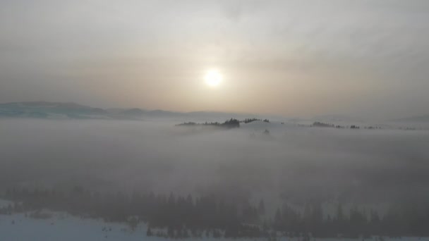 カルパチア山脈上空の霧と雲への空中ドローンの眺め — ストック動画