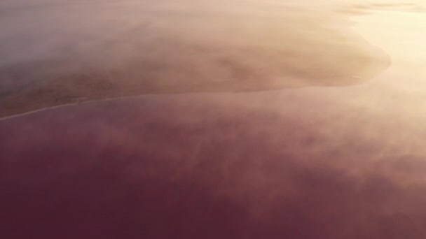 Flygdrönare utsikt över Salt mineral sjö med rosa vatten och kust — Stockvideo